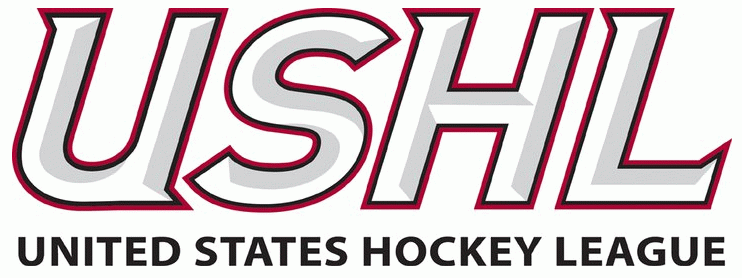 united states hockey league 2011-pres primary logo iron on heat transfer